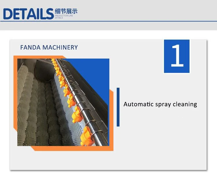 vegetable cleaning machine 1